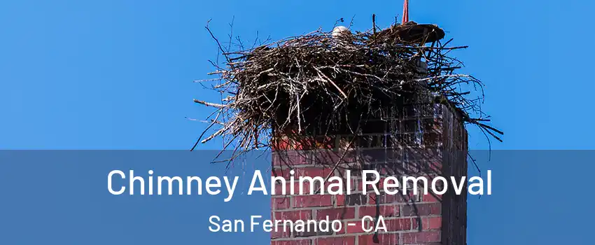  Chimney Animal Removal San Fernando - CA