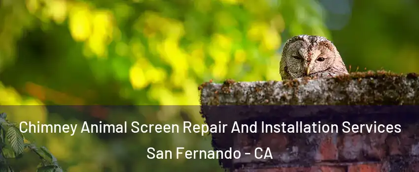  Chimney Animal Screen Repair And Installation Services San Fernando - CA