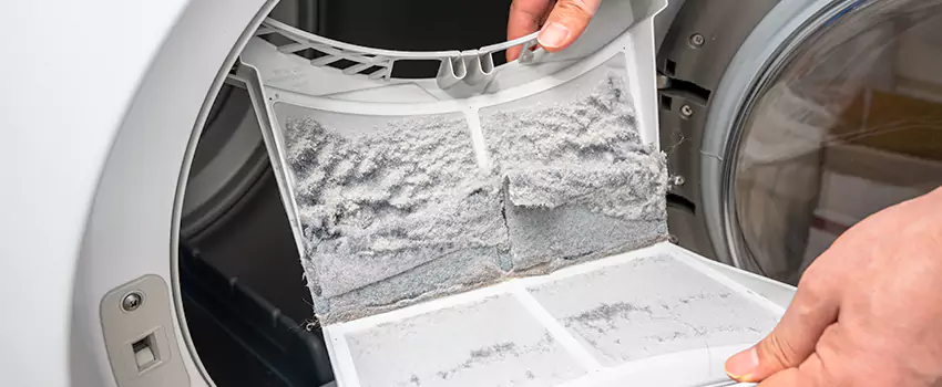 Best Dryer Lint Removal Company in San Fernando, California