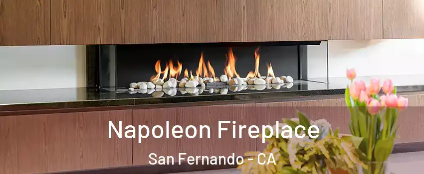  Napoleon Fireplace San Fernando - CA